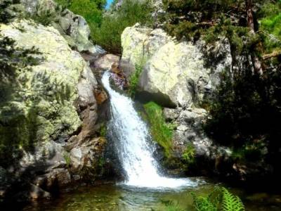 Tejos Rascafría-Valhondillo o Barondillo;setas madrid monte de el pardo las presillas de rascafria 